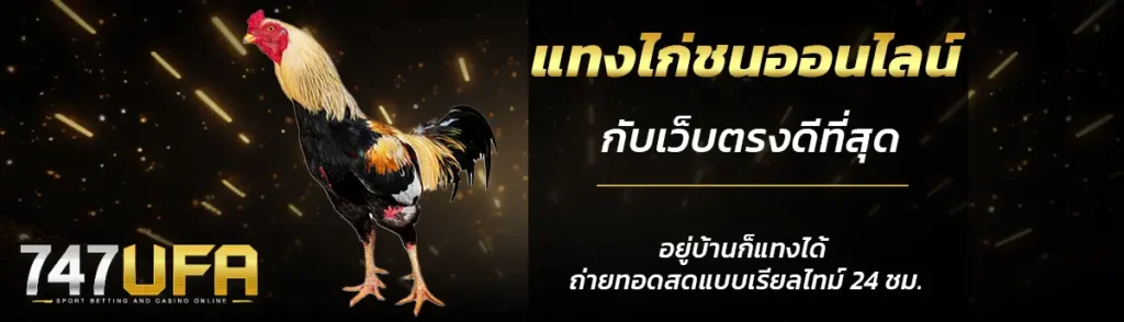 ไก่ชนออนไลน์