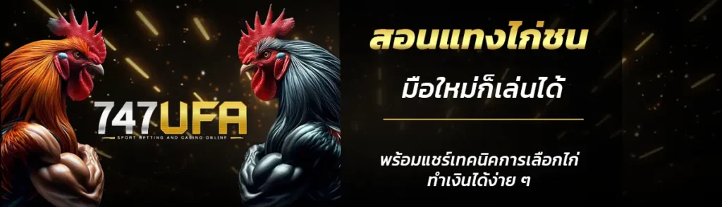 ไก่ชนออนไลน์